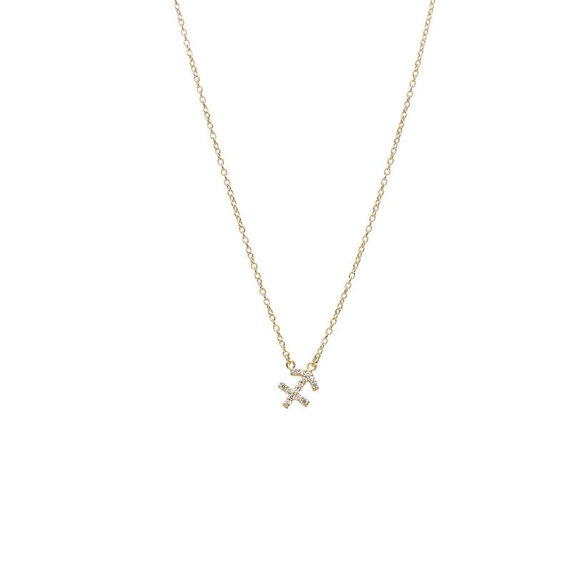 Silk & Steel Sagittarius Necklace image number 0